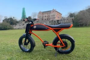 alquiler bicicletas de paseo en comillas (17)