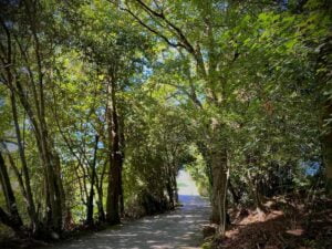 PHOTO-2023-10-09-23-08-18 8