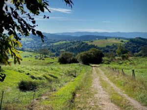 PHOTO-2023-10-09-23-08-19 2