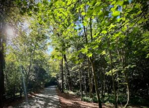 PHOTO-2023-10-09-23-08-19 3