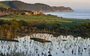estuario-de-la-rabia-en-el-parque-natural-de-oyambre-800x500-1
