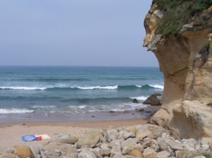 imagen (3)