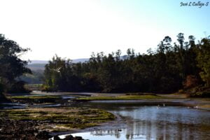 ria-la-rabia-en-parque-natural-de-oyambre-39026-xl