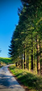 PHOTO-2023-10-10-21-05-58 4