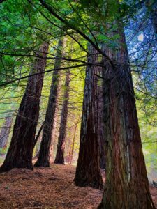 PHOTO-2023-10-10-21-05-58 8