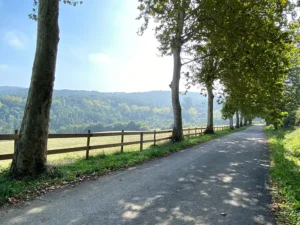 PHOTO-2023-10-08-11-21-27