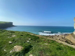 WhatsApp-Image-2024-01-24-at-16.10.061